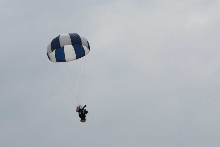 teddy parachute 750 FL