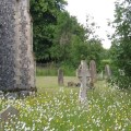 Holy Habitats conversation at Yarmouth church
